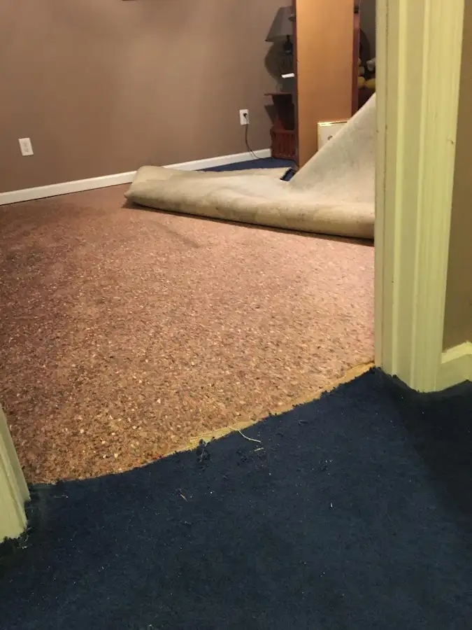 Carpet pad removal revealing water damage during Water Mitigation Services in Lady Lake