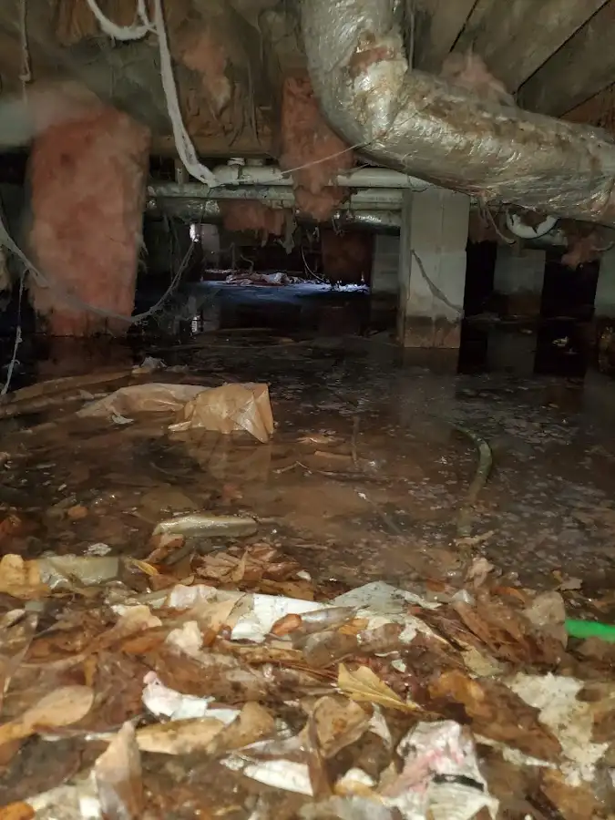 Crawl space flood assessment for Commercial Water Damage Restoration in Lady Lake